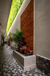 a hallway with plants on the side of a building at Hotel El Rincón in San Francisco del Rincón