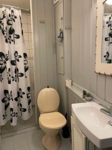a bathroom with a toilet and a sink and a shower curtain at Casa del Vika in Halden