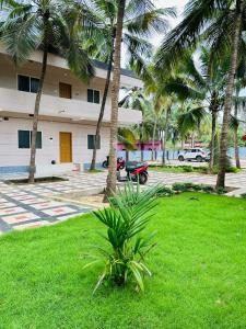 a palm tree in front of a building at The Saltwater Home stay in Udupi