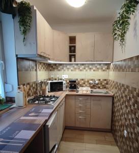 a kitchen with a stove and a sink in it at Fehérvár Cappuccino apartman City center, AC, Easy Parking in Székesfehérvár +41 photos