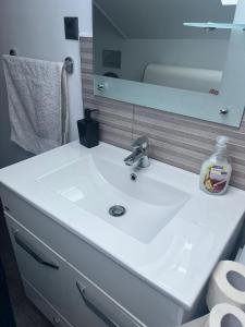 ein Badezimmer mit einem weißen Waschbecken und einem Spiegel in der Unterkunft Apartament Mansarda Venus in Râmnicu Vâlcea