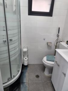 ein Bad mit einer Dusche, einem WC und einem Waschbecken in der Unterkunft בית המזל in Bet Scheʼan