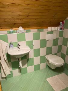 een badkamer met een wastafel en een toilet bij Apartman U vleku in Ceske Petrovice
