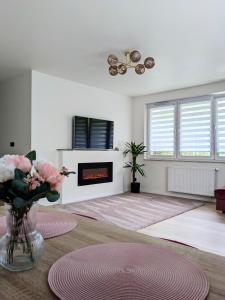Televisyen dan/atau pusat hiburan di Comfortable flat with garden