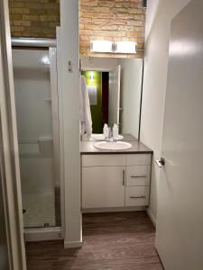 a bathroom with a sink and a mirror at Heart of the City: Cozy 2-Bed Loft in Winnipeg