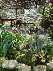 フォルカルキエにあるLa maison de Fridaの石壁の庭園
