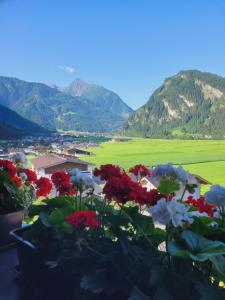 un montón de flores rojas y blancas en un balcón en Hotel Eckartauerhof, en Mayrhofen