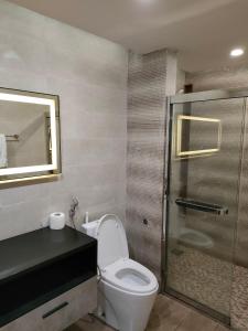 ein Bad mit einem WC und einer Glasdusche in der Unterkunft Designer 2BHK, PIMS Facing in Elysium in Islamabad