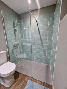 W łazience znajduje się przeszklony prysznic i toaleta. w obiekcie Maison normande à la campagne w mieście Saint-Désir