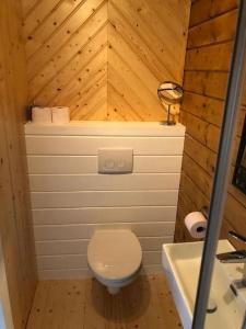 a small bathroom with a toilet and a sink at Have a nice stay! - Vakantiehuis 't Klavertje in Noordwijk +8 photos