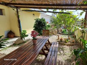 a wooden bench sitting in the middle of a garden at Sa Cannizzada in Funtana Meiga