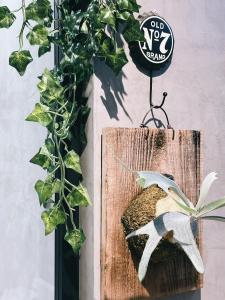 a bird perched on a wooden cutting board next to a plant at N 24.8宜蘭頭城包棟民宿 in Toucheng