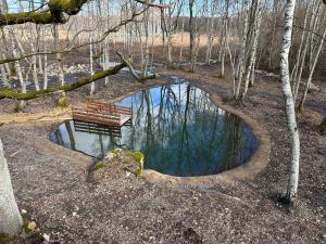 un banco sentado junto a un estanque en el bosque en Lepikumäe Holiday Home with Sauna and Hot tub for up to 16 persons en Reina