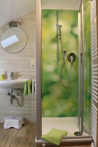 La salle de bains est pourvue d'une douche avec une porte en verre. dans l'établissement Ferienwohnung Tegelberg, à Hopferau