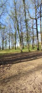 un grupo de árboles en un parque con un camino de tierra en Gite Truffière de La Garrigue, Cubjac, Dordogne, en Cubjac