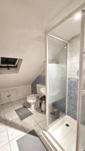 Hayes Deluxe Inn- London, Heathrow Airport في هايس: حمام مع مرحاض ودش زجاجي