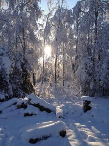 Photo de la galerie de l'établissement Dom Kaszubski, à Bytów