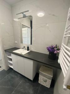 a bathroom with a sink and a mirror at Plac Słowiański 10 - Silver in Świnoujście