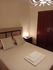 una camera da letto con un letto e due asciugamani di Habitacion matrimonial centro ciudad a Oviedo