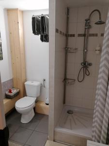 a bathroom with a toilet and a shower at Au Coin Fleuri in Malmedy +7 photos