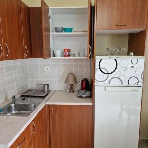 uma cozinha com um frigorífico branco e um lavatório em Diana's cozy 1 studio em Ioannina