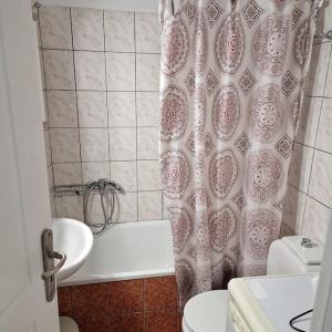 y baño con cortina de ducha y lavamanos. en Diana's cozy 1 studio, en Ioannina