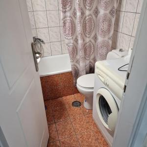 uma casa de banho com um WC e uma cortina de chuveiro em Diana's cozy 1 studio em Ioannina
