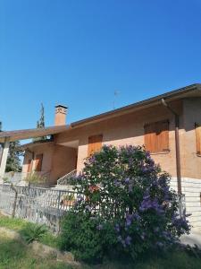 una casa con un arbusto de flores delante de ella en maria antonietta en Urbino