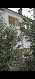 En have udenfor Villa Guci