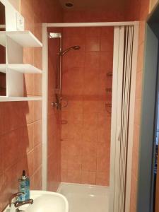 W łazience znajduje się prysznic i umywalka. w obiekcie Penzion Avena w mieście Stříbro