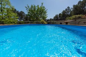 een groot zwembad met blauw water bij Villa Le Blavet in Puget-sur Argens
