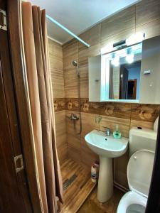 La salle de bains est pourvue d'un lavabo, de toilettes et d'un miroir. dans l'établissement Casă de vacanță, à Topliţa