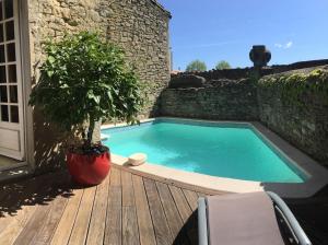 a swimming pool on a wooden deck with a plant at La Cigaline in Laure-Minervois