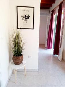 Fotografie z fotogalerie ubytování Corfu Ipsos Studios v destinaci Ipsos