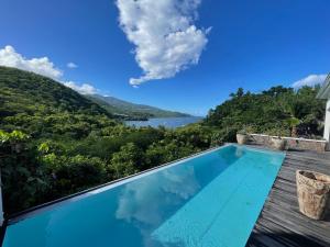 ブイヤントにあるVILLA APOTHEMA meublé de tourisme 4 Etoilesの水辺の景色が見えるプール