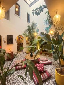 Habitación con plantas y almohadas en el suelo en Dar Didifa en Marrakech