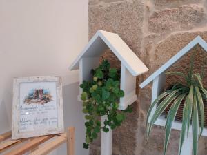 una pajarera blanca colgada en una pared con una planta en O berce casa rural camino Padrón Santiago, en Padrón