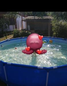 a pink toy in a pool of water at Sétány Apartman-és Vendégház in Tiszafüred