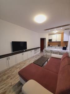 een woonkamer met een bank en een flatscreen-tv bij Belvedere Holiday Club h 305 in Bansko