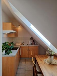 Kuchyň nebo kuchyňský kout v ubytování Apartmaji pri Ticelnu + 17 fotografií