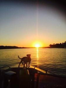 Billede fra billedgalleriet på Erik's Place i Gqeberha