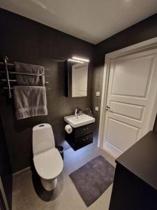 Łazienka z białą toaletą i umywalką w obiekcie The little house by the paddock w Göteborgu