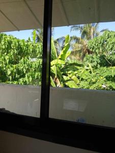 Santa MonicaにあるAlegria siargao holiday stayのギャラリーの写真