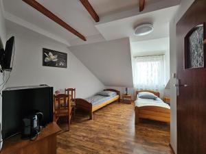 een woonkamer met 2 bedden en een televisie bij Pensjonat POKUSA in Przewóz