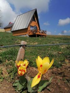 Fotografie z fotogalerie ubytování Koliba Luča Smrčevo Brdo v destinaci Žabljak