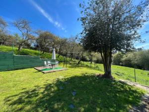 a tree in the middle of a yard with a picnic table at La Finca de Los Pisones in Lloreda