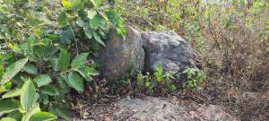 BāghmundiGitanjali Forest Retreat的相册照片