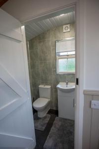 Shepherd Hut Enniskillen Blossom, Fermanagh في إنيسكيلين: حمام مع مرحاض ومغسلة ونافذة