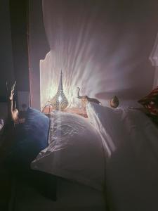 シェフシャウエンにあるRiad Bab Mahrukのベッドルーム1室(ベッド1台、鳥2羽付)