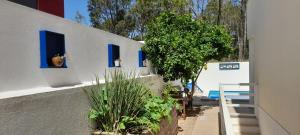 セトゥーバルにあるSuite - Recanto da Lima - com entrada independenteの青窓植物白い建物